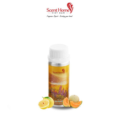 Tinh dầu Scent Homes - mùi hương (BBW Cucumber & Melon)
