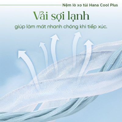 Nệm lò xo túi  cao cấp Hana Cool Plus Tatana, Thiết kế sang trọng, khung lò xo vững chắc, êm ái độ đàn hồi cao - Độ dày 30cm