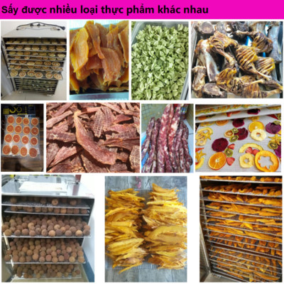 Máy sấy thực phẩm chuyên nghiệp dung tích lớn 59 lít, có tới 10 khay inox, Thương hiệu Mỹ Septree cao cấp ST-01 - HÀNG CHÍNH HÃNG, BẢO HÀNH 12 THÁNG