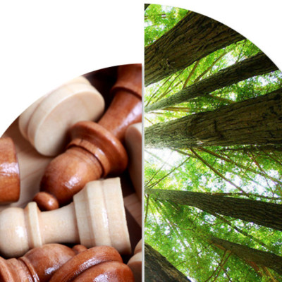 Cờ Vua Gỗ - Cờ Vua Cao Cấp Rộng 29cm*29cm - Đồ Chơi Bằng Gỗ Tự Nhiên Chính Hãng miDoctor