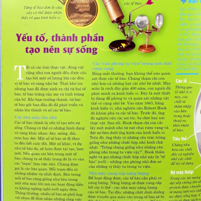 Thế Nào Và Tại Sao - Cơ Thể Người - Tuyệt Tác Của Tạo Hóa - Bìa Cứng (Tái Bản)