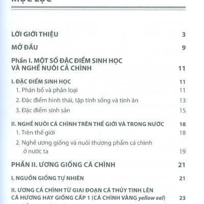 Cách Nuôi Cá Chình