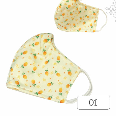 Combo 3 Khẩu trang vải 3 lớp LMcation