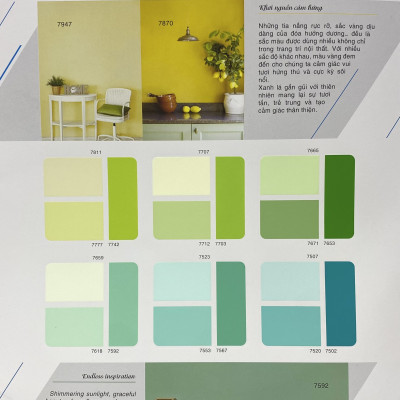 Sơn phào chỉ trong và ngoài nhà Toa 4 Seasons Tropic Shield màu cam C- 8022_1L