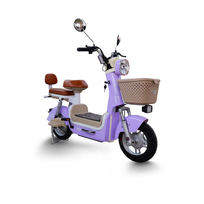 XE ĐIỆN MIMA MALI