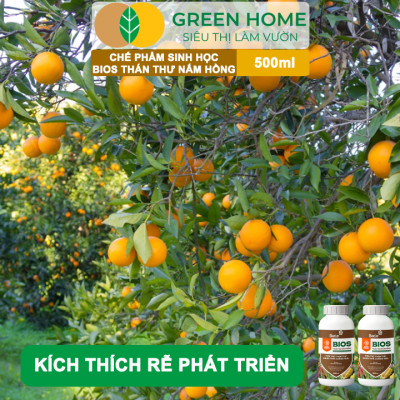 Chế Phẩm Sinh Học Bacte Bios Thán Thư Nấm Hồng, Green Home, Chai 500ml, Từ Thảo Mộc, Hiệu Lực Nhanh Mạnh