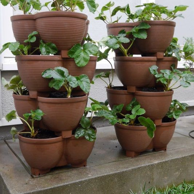 Bộ dụng cụ làm vườn Yamada mini - Nhập khẩu trực tiếp từ Nhật Bản