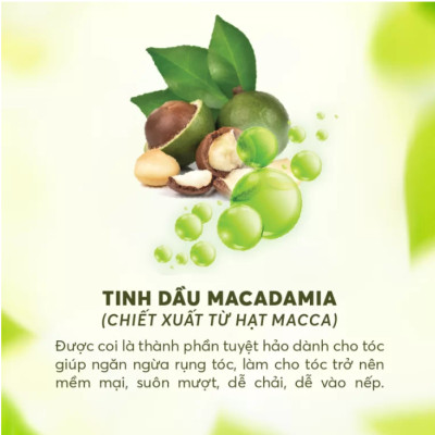Kem Hấp Hồi Sinh Keratin & Macadamia Oil Ngừa Rụng Tóc M.PROS 300ml
