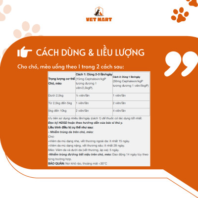 Thuốc Hỗ Trợ Trị Nhiễm Trùng Da, Đường Tiết Niệu Cho Thú Cưng - Five CELEXIN_Hộp 3 Vỉ x 10 Viên