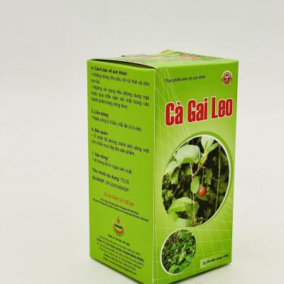 Cà gai leo - Năng Động - giải độc gan, giảm mề day, vàng da