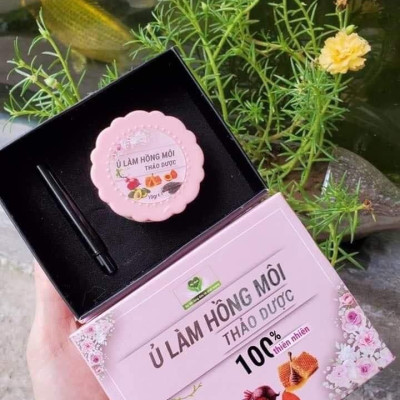 Son Dưỡng Môi Gấc Dền MẸ KEN - Ủ hồng môi thảo dược 100% thiên nhiên, dưỡng môi, dưỡng ẩm môi, giảm thâm môi NEW