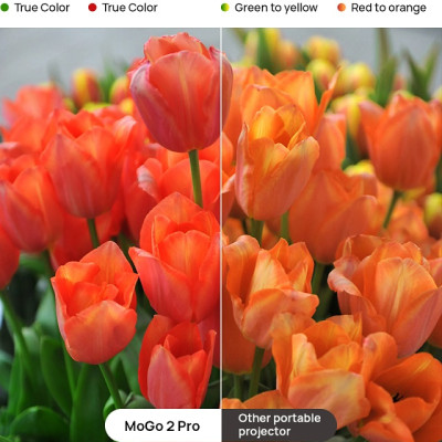 Máy chiếu Xgimi MoGo 2 Pro hàng chính hãng, Bản Quốc Tế - ZAMACO AUDIO