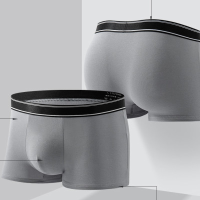 Combo 2 quần lót nam boxer, set 2 sịp đùi nam màu trơn thun cotton CBQL116