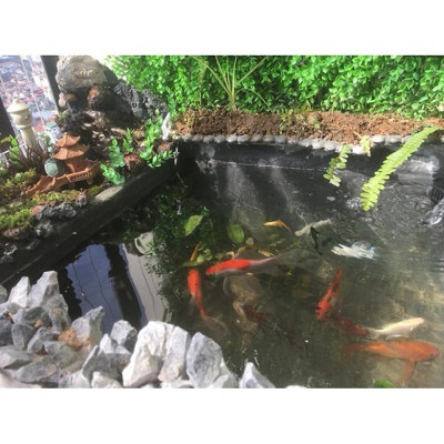 Keo quét chống thấm tường, Bịt kín mọi KHE NỨT , TRẦN, MÁI NHÀ , SÂN THƯỢNG, NHÀ VỆ SINH, MÁNG SÓI, đa năng  thông minh . Tặng kèm chổi quét sơn và 3m vải