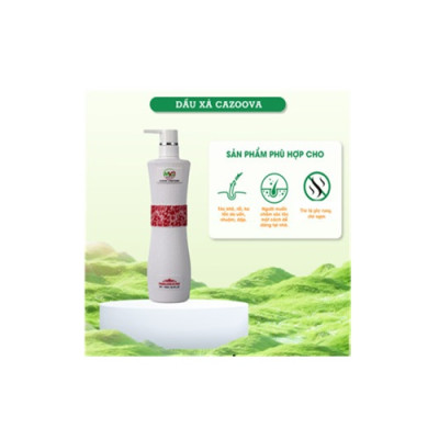 Dầu xả tóc Collagen phục hồi tóc hư tổn Cazoova 500ML & 780ML