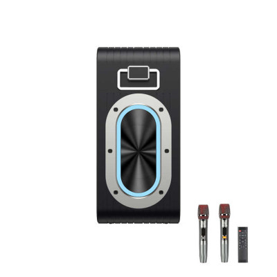 Loa Karaoke SOUNARC A3 Pro (Tặng kèm 2 micro) - Hàng Chính Hãng