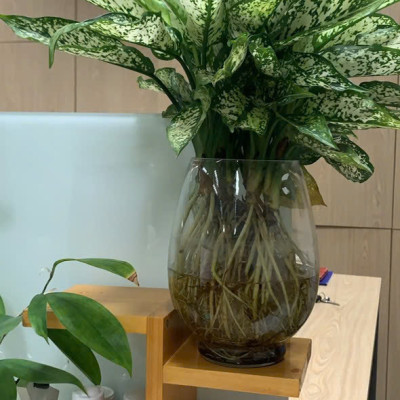 Kệ Để Bàn Hoa và cây cảnh Giá Đỡ Đứng sang trọng gỗ mdf phủ min kích thước 30x25x12 cm