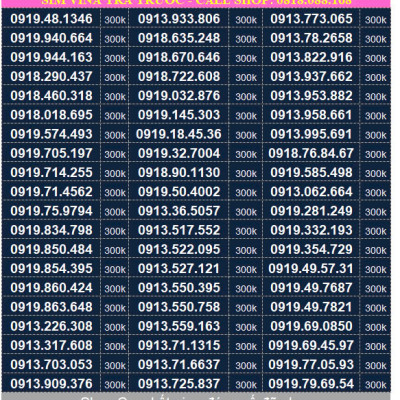Sim Vinaphone đầu số 091, sim Phong Thuỷ, sim dễ nhớ - Hàng chính hãng