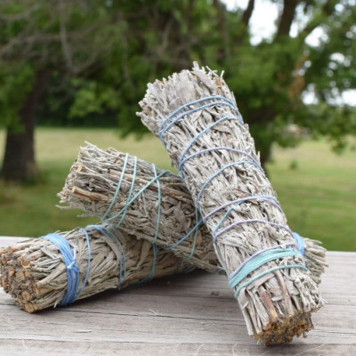 Bó lá xô thơm xanh xông nhà mang may mắn và tài lộc - Blue sage