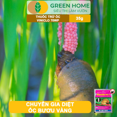 Thuốc Diệt Ốc Bươu Vàng Viniclo 70WP, GreenHome, Gói 35gr, Diệt Sạch Ốc, An Toàn Cho Lúa