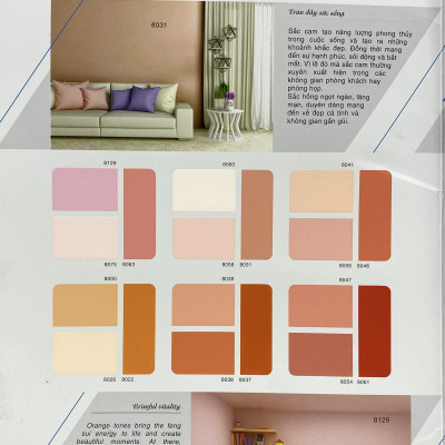 Sơn phào chỉ cho trần nhà Toa thoải mái lau chùi màu C- 8022 _1L