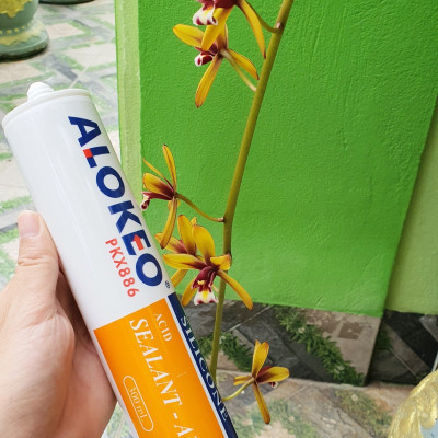Keo silicone alokeo A300 màu trong Axit
