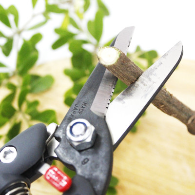 Kéo cắt cành cao cấp Nhật Bản Chikamasa JP-2000 chiều dài lưỡi 45mm - lưỡi thép carbon chất lượng cao siêu bén - cắt ngọt, không bám dính, liền sẹo nhanh