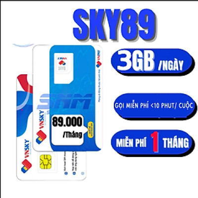 FREESHIP - CHƯA KÍCH HOẠT. Sim VNSKy89C 90GB/ THÁNG 500p gọi nội mạng có sẵn tháng đầu tiên. Hàng chính hãng