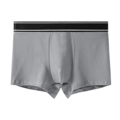 Combo 2 quần lót nam boxer, set 2 sịp đùi nam màu trơn thun cotton CBQL116