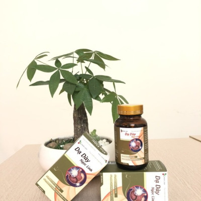 [CHÍNH HÃNG] Dạ Dày Ngọc Linh - Hỗ Trợ Bảo Vệ Niêm Mạc Dạ Dày