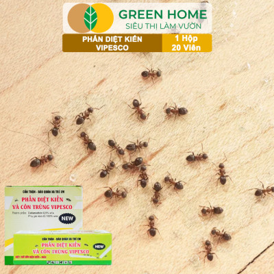 Phấn Diệt Kiến Và Côn Trùng Vipesco, GreenHome, 1 Hộp 20 Viên, Diệt Trừ Kiến, Gián, Rận, Côn Trùng