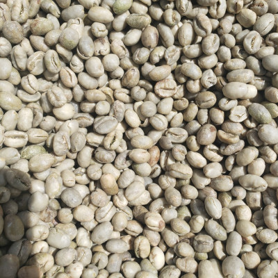 Cà phê nhân Arabica Cầu Đất O