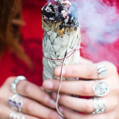 Bó lá xô thơm đen - Black sage - Mugwort