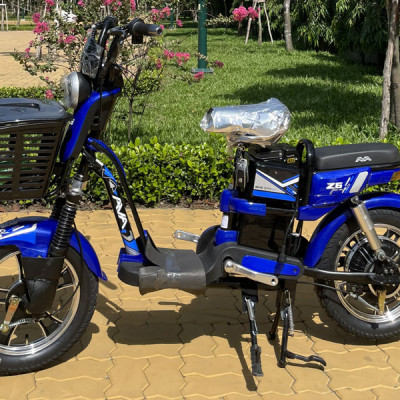 XE ĐIỆN AVA Z6, AVA Z LIMITED