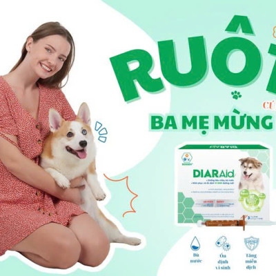 BOSSEN - DIARAid (dogs) Bổ sung Vi Sinh, Lợi Khuẩn Hỗ Trợ Tiêu Hóa và Tăng Đề Kháng cho Chó - Hộp 3 ống