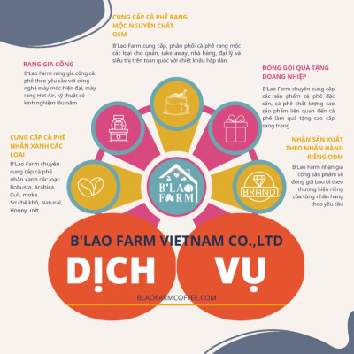 Cà phê nhân xanh ROBUSTA S18 B