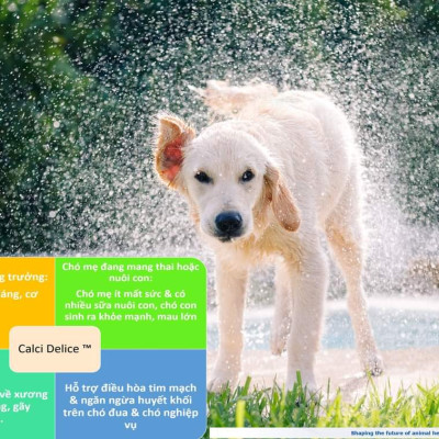 Calci Delice bổ sung Canxi và khoáng chất cho chó (1 hộp x 30 viên)