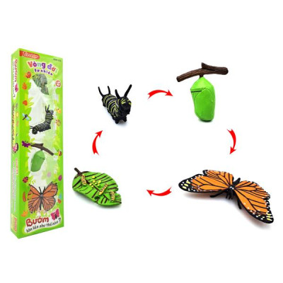 Đồ Chơi Mô Hình Vòng Đời Tự Nhiên - Bướm Lớn Lên Như Thế Nào? - Firstar DK81253