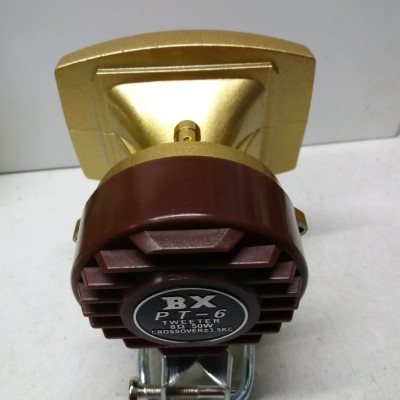 Bộ 2 loa treble cao cấp BX PT6 họng đúc, thiết kế chắc chắn phù hợp với mọi không gian, màu vàng đồng làm tăng sự sang trong cho dàn âm thanh của bạn.