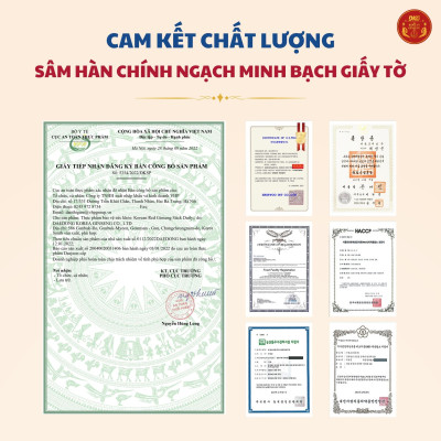 Hồng sâm Stick Daily Hàn Quốc