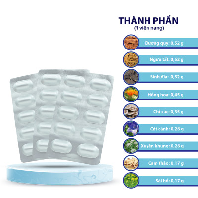 Tăng cường trí nhớ, lưu thông máu não hiệu quả cùng Hoạt huyết Quảng Trí Hoa Việt (Hộp 60 viên)