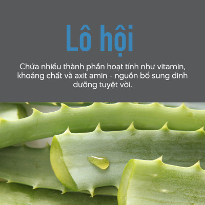 Dầu Xả Dưỡng Ẩm Goldwell KMS Moistrepair Nuôi Dưỡng Và Phục Hồi Tóc Hư Tổn Lên Tới 99%