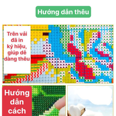 Tranh thêu kín chữ thập Hoa và bướm vs8098, kích thước 50 x 50 cm