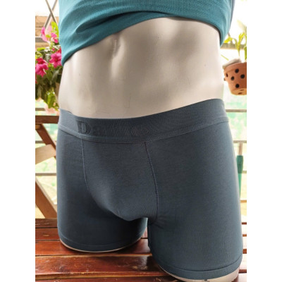 Quần Lót Nam Boxer Davie DV2322 Thiết Kế Nguyên Khối Mặc Không Lộ Viền