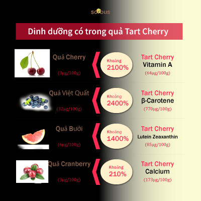 Sorbus Thạch Collagen Montmorency Tart Cherry 38.8 200mg (7 ngày)