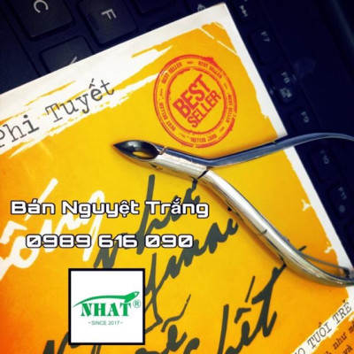 • 10 Bán Nguyệt Trắng | Kềm Nhật