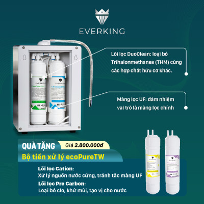 Máy Lọc Nước Điện Giải iON Kiềm EVERKING EK-75 - Hàng Chính Hãng