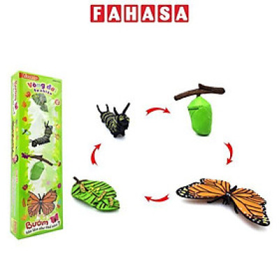 Đồ Chơi Mô Hình Vòng Đời Tự Nhiên - Bướm Lớn Lên Như Thế Nào? - Firstar DK81253