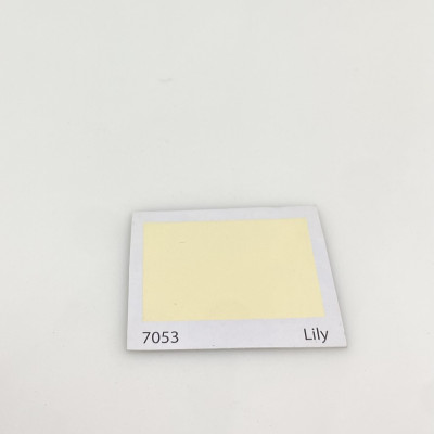 Sơn dầu Đồng Nai Donasa màu kem 7053 3kg _ DLF 7053