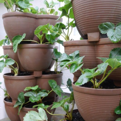 Bộ dụng cụ làm vườn Yamada mini - Nhập khẩu trực tiếp từ Nhật Bản